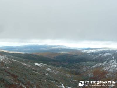 Hayedo de Pedrosa - Parque Natural Sierra Norte de Guadalajara - Hayedo de Tejera Negra